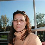 Interprete traduttore